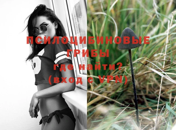 гидра Гусь-Хрустальный