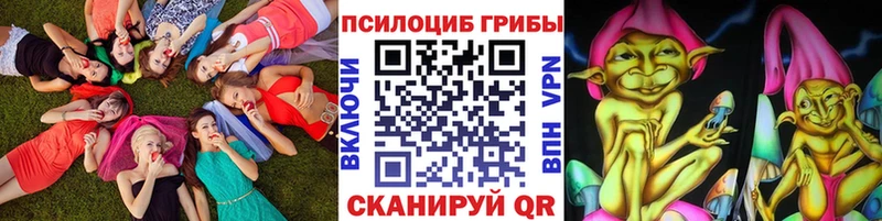 Псилоцибиновые грибы Magic Shrooms  Купить где  Елец 